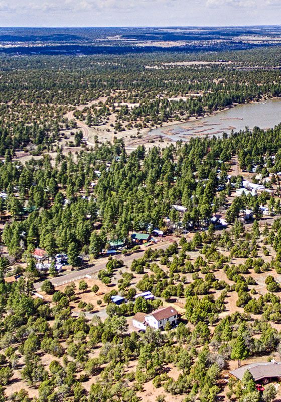 A view of some trees and houses in the middle of nowhere.