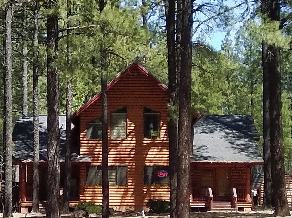 A large log cabin in the woods with trees around it.