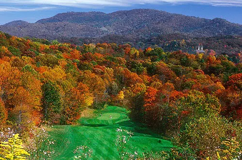 A view of the green from above.