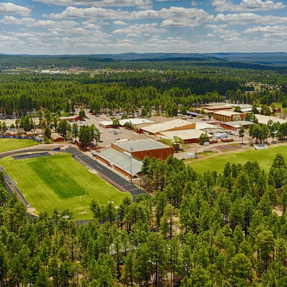 A view of a large campus from above.